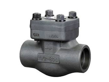 Swing Check Valve