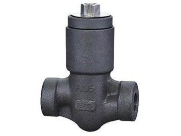 Swing Check Valve