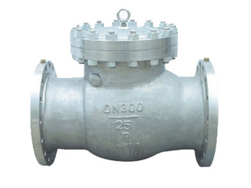 Swing Check Valve