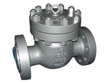 Swing Check Valve