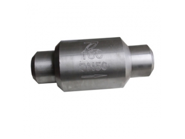 Forged Steel Check Valve