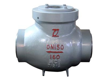 Cast Steel Check Valve