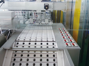 Automatic Pill Packaging Line (Weighing and Wax Shell Packaging)