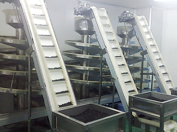 Fully Automatic Traditional Chinese Medicine Pill Production Line