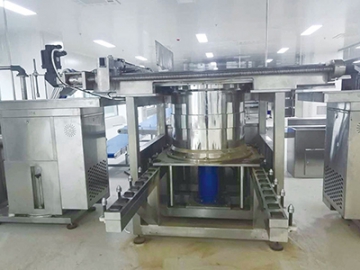 Pharmaceutical Granulation Line (for Large Pills)