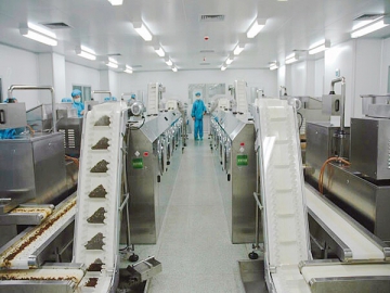 Pharmaceutical Granulation Line (for Small Pills)