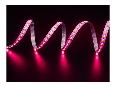 Multi-color LED Strip Light (RGBCCT)