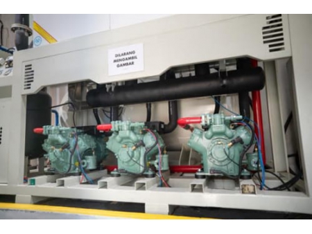 30 Tons Tube Ice Machine in Indonesia