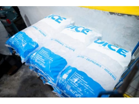 30 Tons Tube Ice Machine in Indonesia