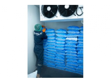 30 Tons Tube Ice Machine in Indonesia