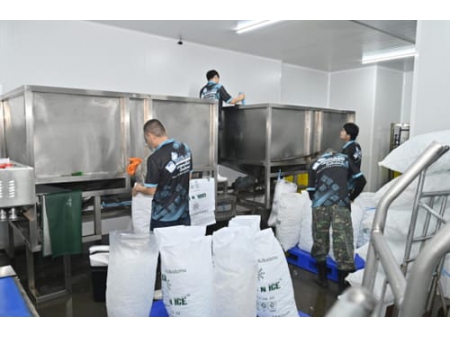 40 Tons Tube Ice Machine in Thailand