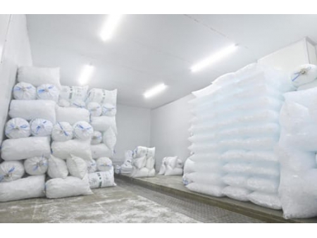 40 Tons Tube Ice Machine in Thailand