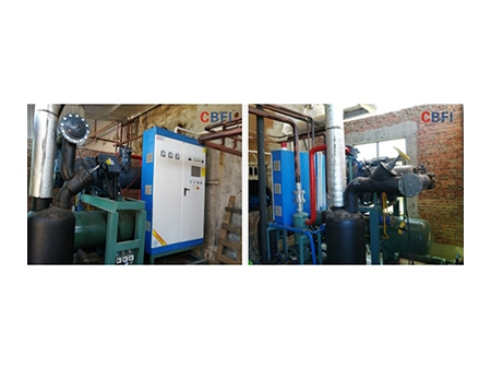 Ammonia to Fluorine: 60 Tons Freon Ice-making System