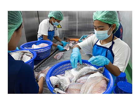 Double Spiral Quick Freezer in Thailand