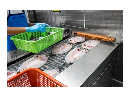 Double Spiral Quick Freezer in Thailand