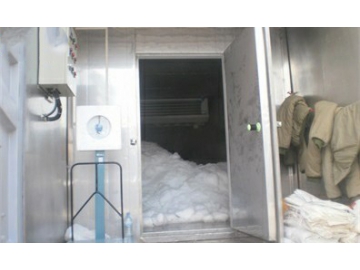 Maldives--Containerized plate ice machine and ice storage