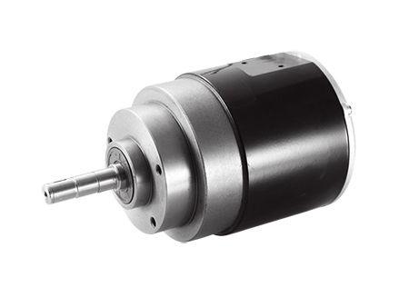 900W (3100 RPM) Horizontal Travel Drive Motor, PMDC Brushless Motor TF110AH2