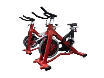 Exercise Bikes