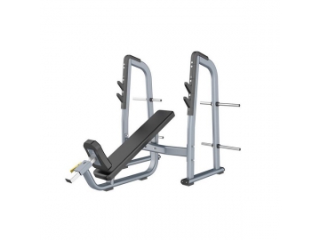 FH Free Weight Exercise Machine