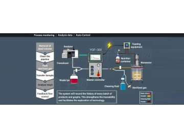 Automated On-line Sampling System