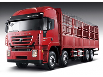 Hongyan Genlyon 8×4 Cargo Truck
