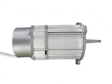 Brushless DC Motor