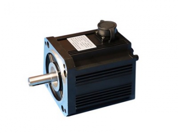 Brushless DC Motor