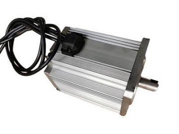 Brushless DC Motor