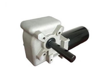 Helical Worm Geared Motor