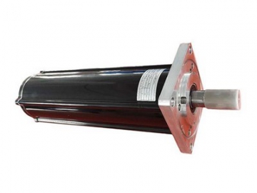 Planetary Gearmotor