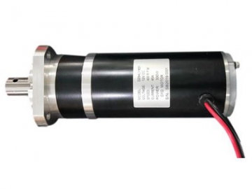 Planetary Gearmotor