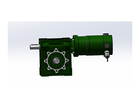 EM110ZYW02 worm-gear motor