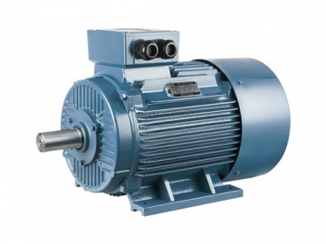 YE2/YE3 Series High Efficiency Three Phase Asynchronous Motor