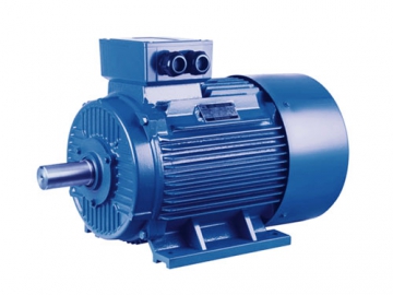 YE2/YE3 Series High Efficiency Three Phase Asynchronous Motor