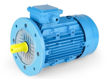 YL Series Single Phase Asynchronous Motor with Starting and Running Capacitor