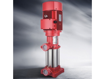 PVF series Vertical Multistage Pump