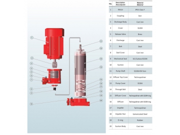 PVF Series Vertical Multistage Pump