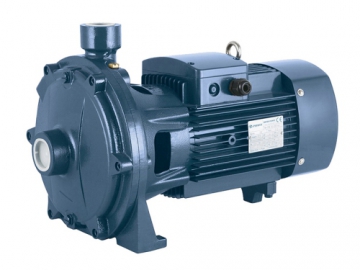 P2C series Thread Port Centrifugal Pump  (Double Impeller, High Pressure)