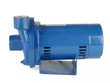 ACP Series Direct Coupling Centrifugal Water Pump