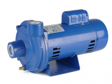 ACP Series Direct Coupling Centrifugal Water Pump