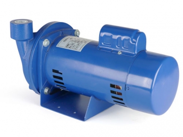 ACP Series Direct Coupling Centrifugal Water Pump