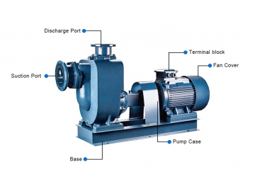 PZW series Self-Priming Sewage Pump