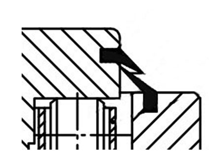 Double-row Ball Slewing Ring Bearing