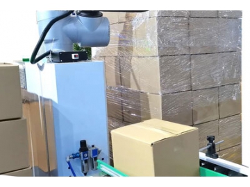 Collaborative Robot Palletizer, RP-10