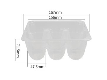 Egg Container, CX091