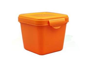 300ml/500ml/800ml IML Container with Lid, CX001