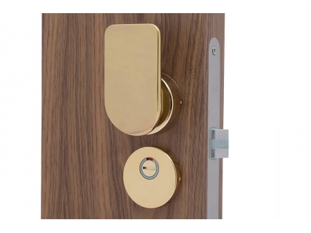 Push Pull Mortise Lock with Thumbturn