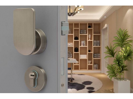 Push Pull Mortise Lock with Mortise Cylinder