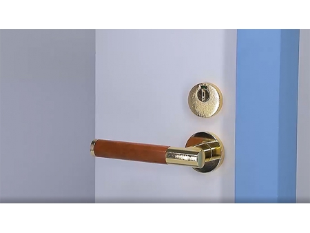 Mortise Lever Locks, Lever Handle Locks