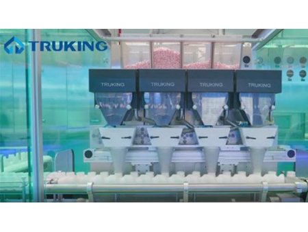 Automatic Tablet/Capsule Packaging Line, FS20